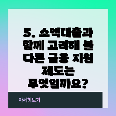 5. 소액대출과 함께 고려해 볼 다른 금융 지원 제도는 무엇일까요?