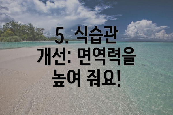 5. 식습관 개선: 면역력을 높여 줘요!