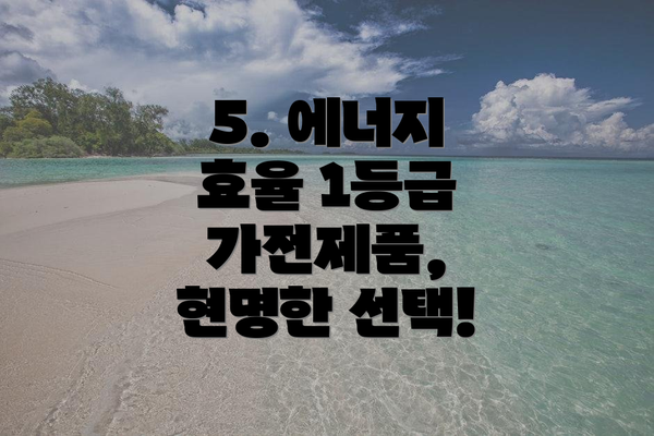 5. 에너지 효율 1등급 가전제품, 현명한 선택!