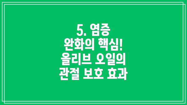 5. 염증 완화의 핵심! 올리브 오일의 관절 보호 효과
