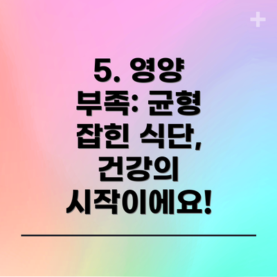 5. 영양 부족: 균형 잡힌 식단, 건강의 시작이에요!