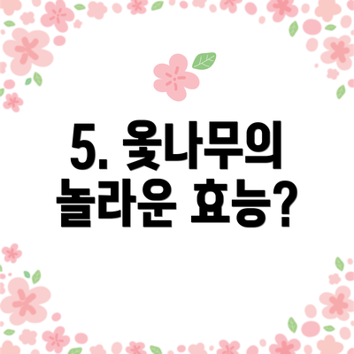 5. 옻나무의 놀라운 효능?