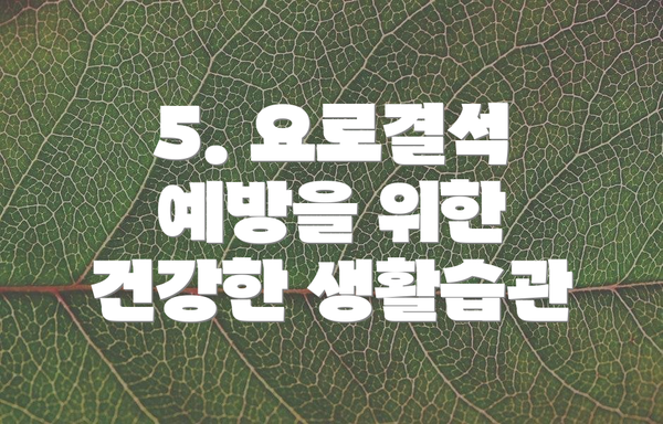 5. 요로결석 예방을 위한 건강한 생활습관