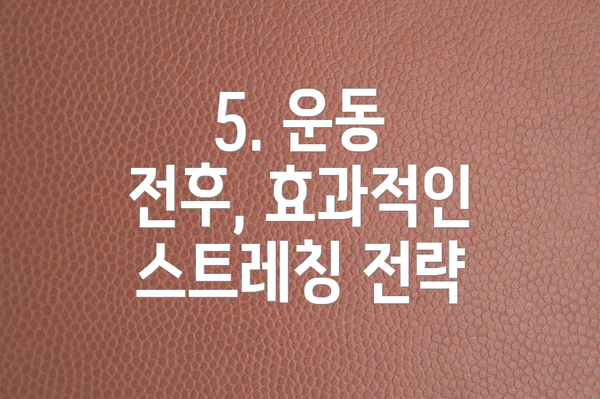 5. 운동 전후, 효과적인 스트레칭 전략