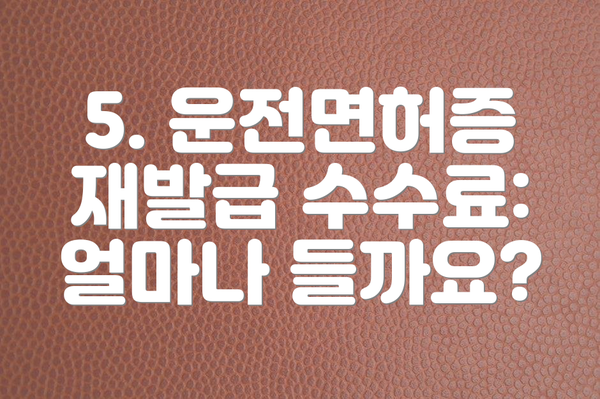 5. 운전면허증 재발급 수수료: 얼마나 들까요?