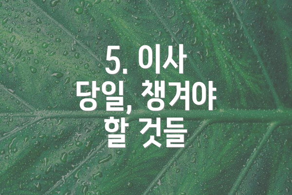 5. 이사 당일, 챙겨야 할 것들
