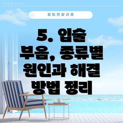 5. 입술 부음, 종류별 원인과 해결 방법 정리