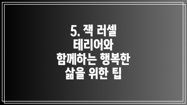 5. 잭 러셀 테리어와 함께하는 행복한 삶을 위한 팁