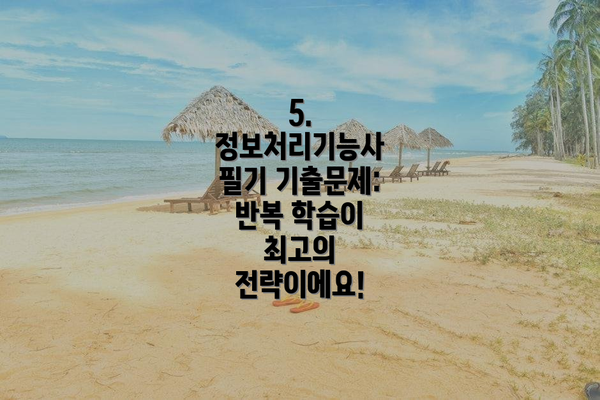 5. 정보처리기능사 필기 기출문제: 반복 학습이 최고의 전략이에요!