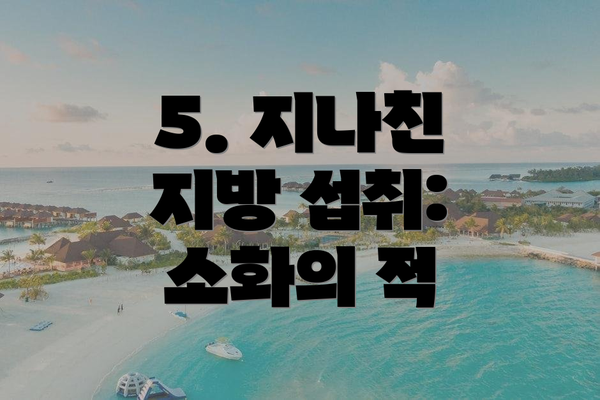 5. 지나친 지방 섭취: 소화의 적