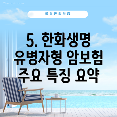 5. 한화생명 유병자형 암보험 주요 특징 요약