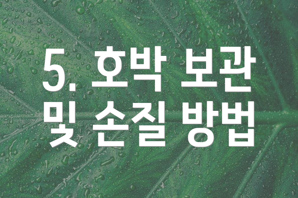5. 호박 보관 및 손질 방법