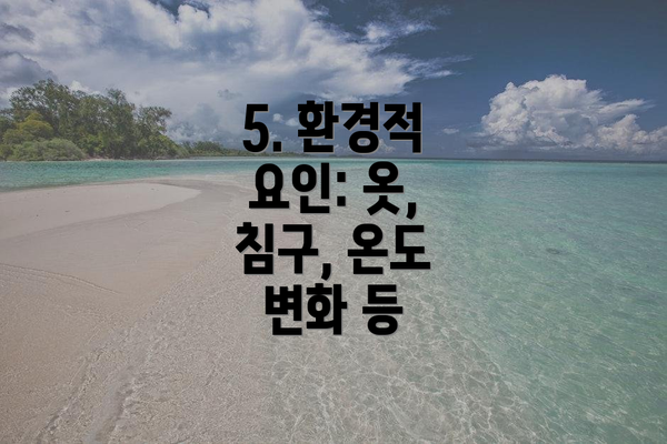 5. 환경적 요인: 옷, 침구, 온도 변화 등