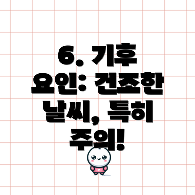 6. 기후 요인: 건조한 날씨, 특히 주의!