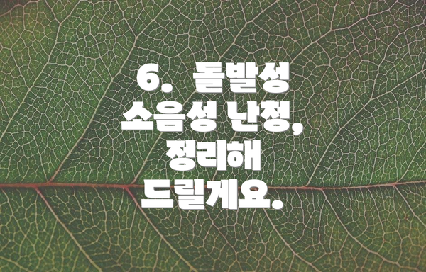 6.  돌발성 소음성 난청,  정리해 드릴게요.