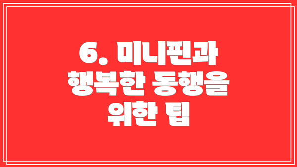 6. 미니핀과 행복한 동행을 위한 팁
