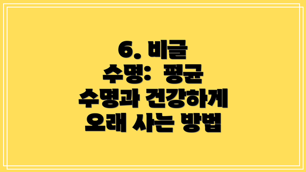 6. 비글 수명:  평균 수명과 건강하게 오래 사는 방법