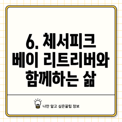 6. 체서피크 베이 리트리버와 함께하는 삶