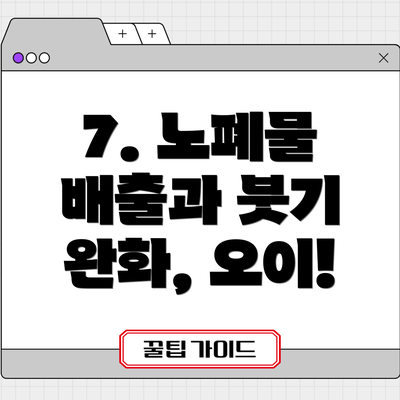 7. 노폐물 배출과 붓기 완화, 오이!
