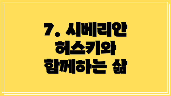7. 시베리안 허스키와 함께하는 삶