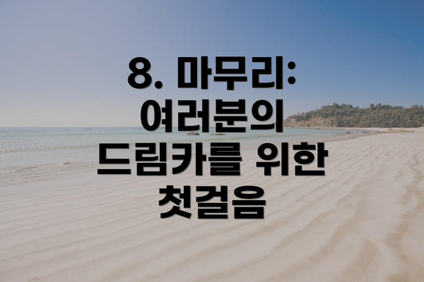 8. 마무리: 여러분의 드림카를 위한 첫걸음