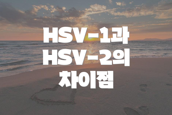 HSV-1과 HSV-2의 차이점