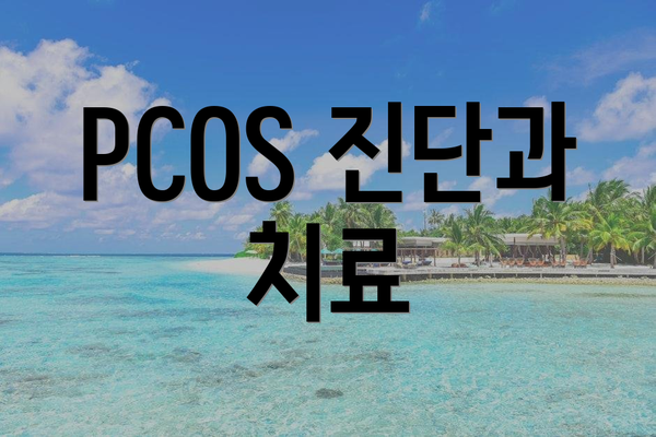 PCOS 진단과 치료