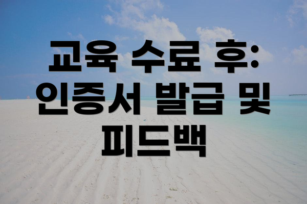 교육 수료 후: 인증서 발급 및 피드백