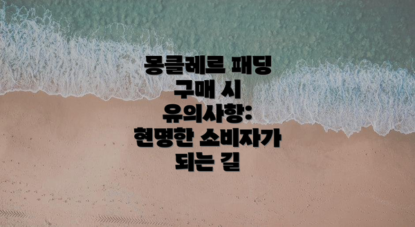 몽클레르 패딩 구매 시 유의사항:  현명한 소비자가 되는 길