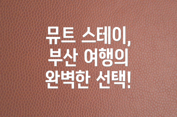 뮤트 스테이, 부산 여행의 완벽한 선택!