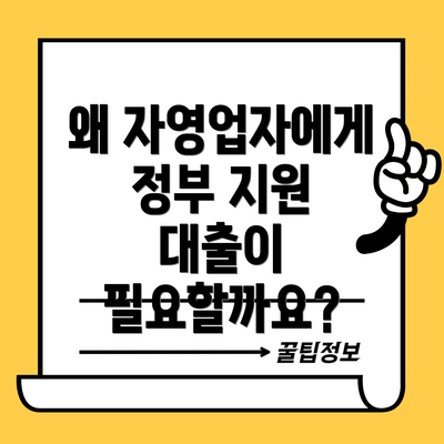 왜 자영업자에게 정부 지원 대출이 필요할까요?