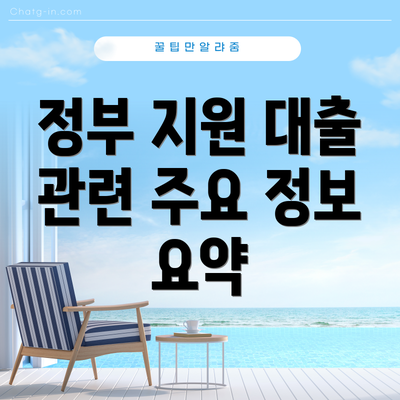 정부 지원 대출 관련 주요 정보 요약