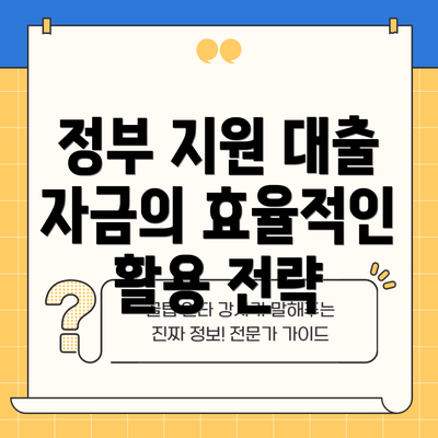 정부 지원 대출 자금의 효율적인 활용 전략