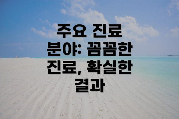 주요 진료 분야: 꼼꼼한 진료, 확실한 결과