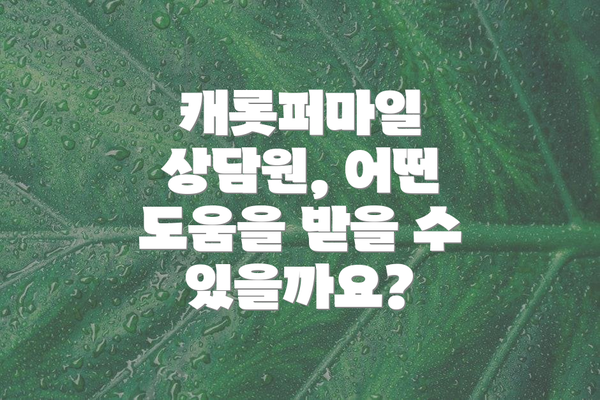 캐롯퍼마일 상담원, 어떤 도움을 받을 수 있을까요?