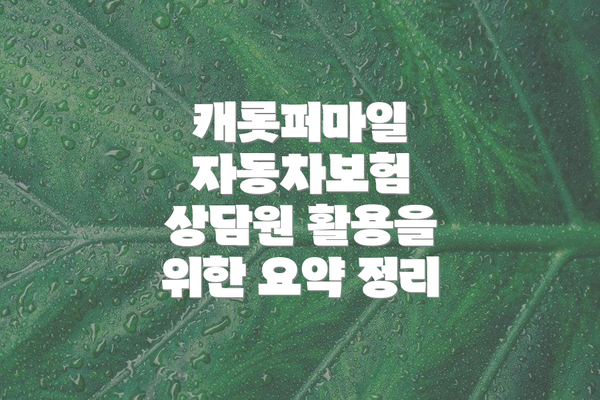 캐롯퍼마일 자동차보험 상담원 활용을 위한 요약 정리