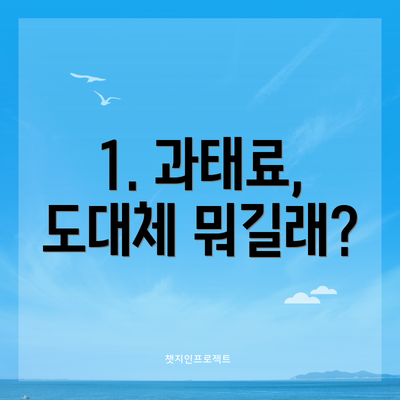 1. 과태료, 도대체 뭐길래?