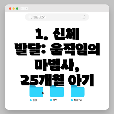 1. 신체 발달: 움직임의 마법사, 25개월 아기