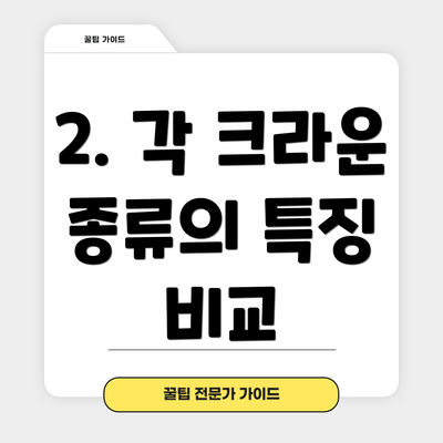 2. 각 크라운 종류의 특징 비교