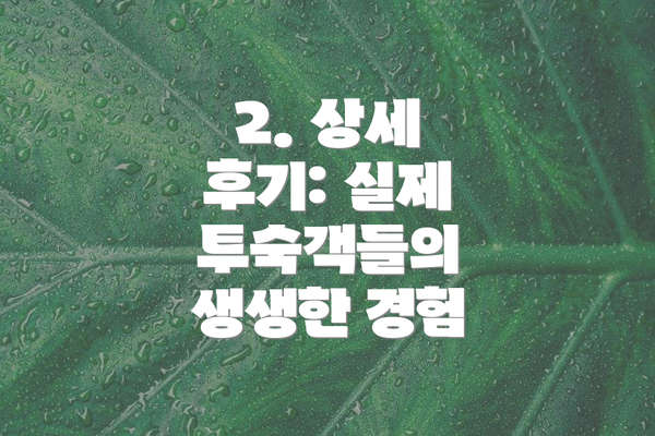 2. 상세 후기: 실제 투숙객들의 생생한 경험