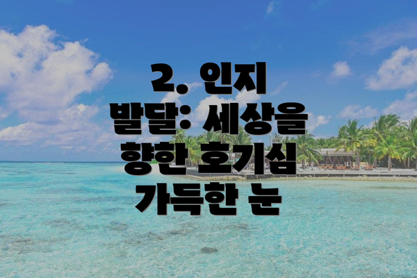 2. 인지 발달: 세상을 향한 호기심 가득한 눈