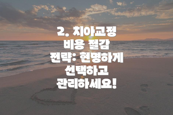 2. 치아교정 비용 절감 전략: 현명하게 선택하고 관리하세요!