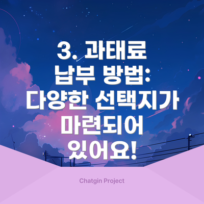 3. 과태료 납부 방법: 다양한 선택지가 마련되어 있어요!