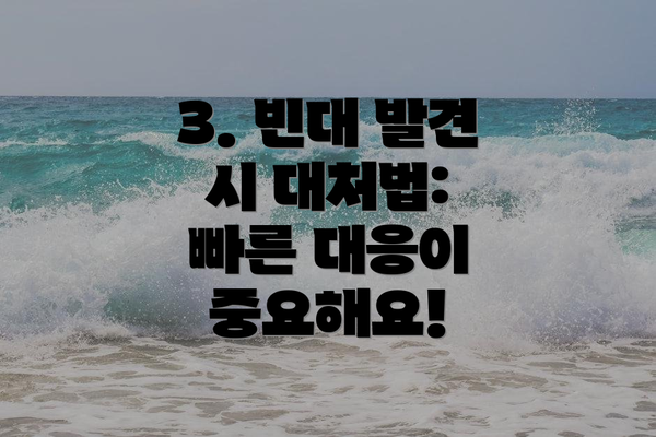 3. 빈대 발견 시 대처법:  빠른 대응이 중요해요!