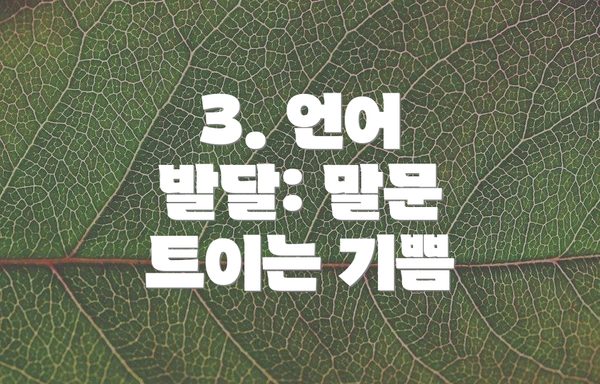 3. 언어 발달: 말문 트이는 기쁨