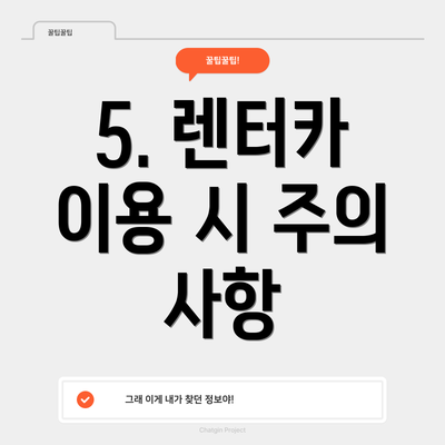 5. 렌터카 이용 시 주의 사항
