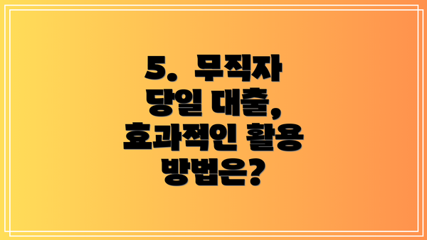 5.  무직자 당일 대출, 효과적인 활용 방법은?