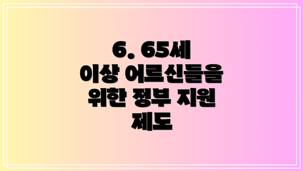 6. 65세 이상 어르신들을 위한 정부 지원 제도