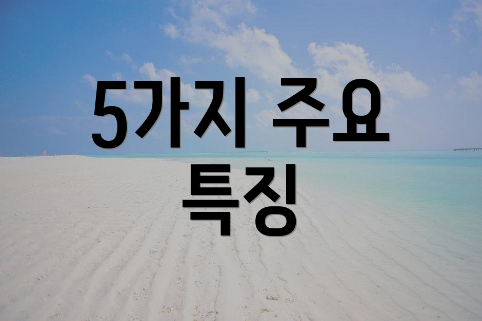 5가지 주요 특징