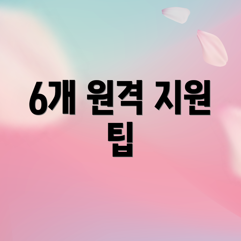6개 원격 지원 팁
